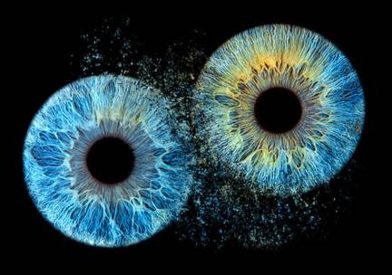 Iris-fotoshoot (1 tot 5 pers.) + 1 afdruk (20x20)