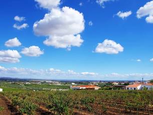 Fly-drive Alentejo couleur locale 8 dagen