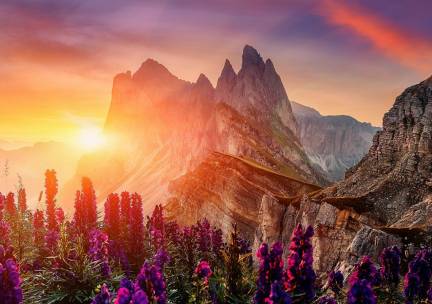 Ontdek de magie van de Dolomieten, incl. ontbijt, 3-gangendiner, South Tyrol Gastenkaart en meer extra's!