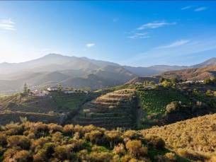 Fly-drive Ontdek de pueblos blancos