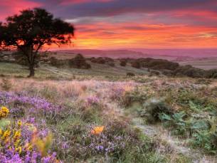 Prachtig Kent & Isle of Wight