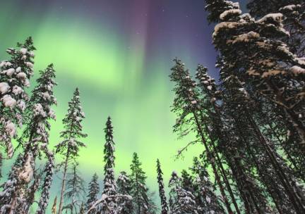 ALLES-IN-1-DEAL! ❄️ Ontdek het magische Fins Lapland en verblijf 4 dagen in Levi in een kamer met priv&eacute; sauna incl. vlucht, halfpension & 2 EXCURSIES!