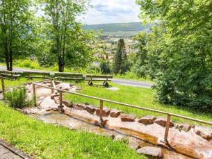 4*-hotel met wellnnes op een UNIEKE historische locatie met prachtig uitzicht over Lohr am Main in Beieren incl. ontbijt + welkomstdrankje
