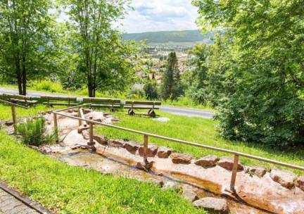 4*-hotel met wellnnes op een UNIEKE historische locatie met prachtig uitzicht over Lohr am Main in Beieren incl. ontbijt + welkomstdrankje