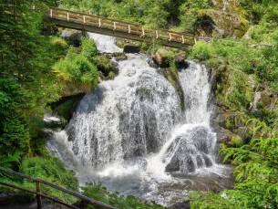 Zwarte Woud en de Elzas, Endingen