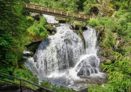 Zwarte Woud en de Elzas, Endingen