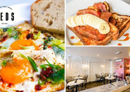 Brunch- of lunchgerecht naar keuze bij Teds Amsterdam Jodraan