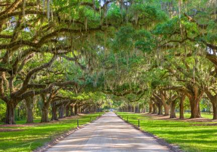 The American South