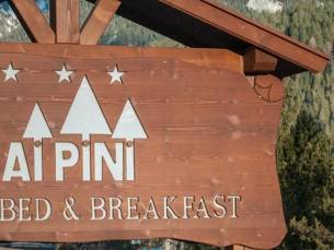 Hotel ai Pini