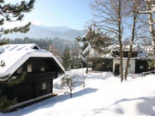 Naturel Hoteldorf Schönleitn