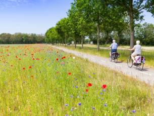 Ontdek de mooiste fietsroutes in de natuur van Drenthe rondom Brinkhotel Zuidlaren incl. 3-gangendiner!