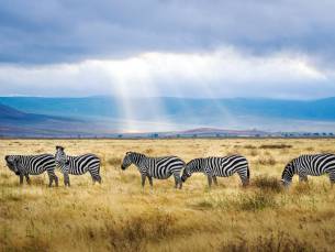 De Highlights van Noordelijk Tanzania