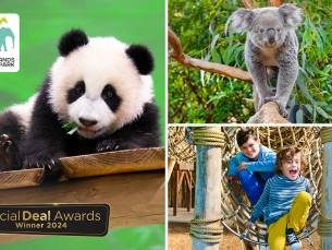 Entree voor Ouwehands Dierenpark Rhenen + ijsje