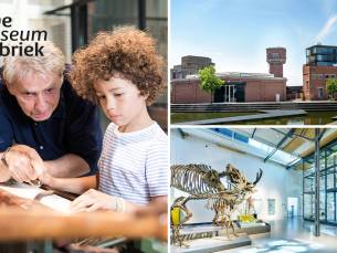 Entree tot De Museumfabriek