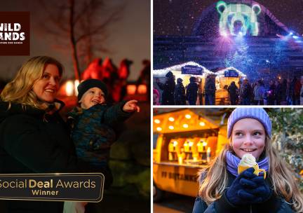 Entree WILDnights + warme chocomel bij WILDLANDS Adventure Zoo Emmen