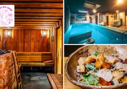 Entree wellness + hoofdgerecht of 3-gangendiner