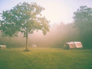 Kampeerterrein Woud - Comfortplaats max 8 meter (huisdiervrij)