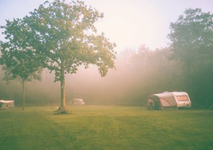 Kampeerterrein Woud - Comfortplaats max 8 meter (huisdiervrij)
