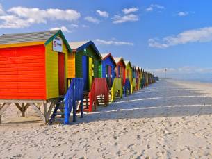 Kaapstad, Olifanten en Wijnregio Deluxe