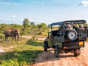 Familiereis op avontuur in Sri Lanka