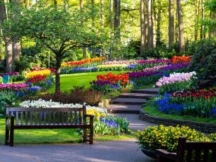 Bloemencruise vanaf Rotterdam