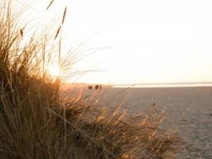 RCN Vakantiepark Toppershoedje - Hotelaccommodaties