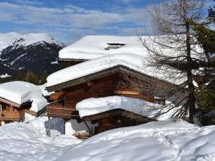 Staudis Skih&uuml;tten