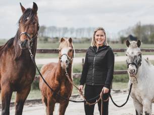 1 of 3 sessies paardencoaching (à 60 min)