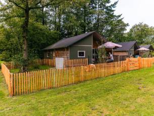 Dog Lodge 6