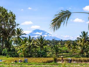 Bijzonder Bali