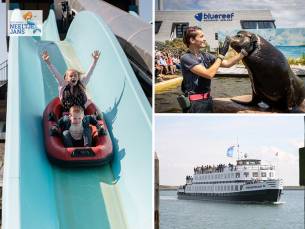 All-In zomer Deltapark Neeltje Jans