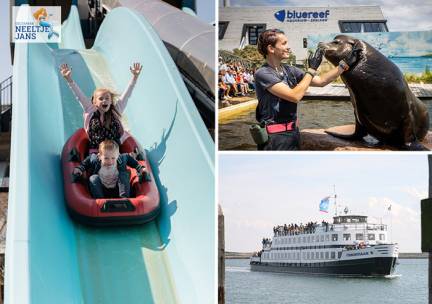 All-In zomer Deltapark Neeltje Jans