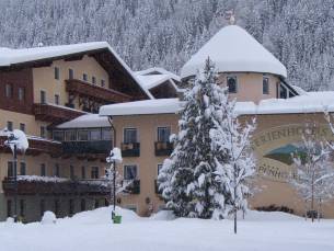 Ferienhotel Alber Alpenhotel (extra ingekocht)