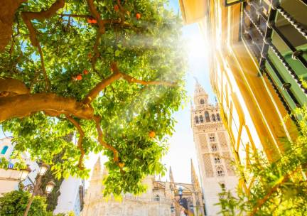 Stedentrip naar het zonnige Sevilla incl. vlucht en ontbijt