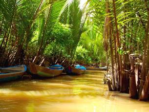 De Kleuren van de Mekong Delta
