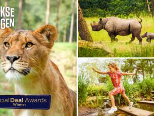 Entree Safaripark Beekse Bergen