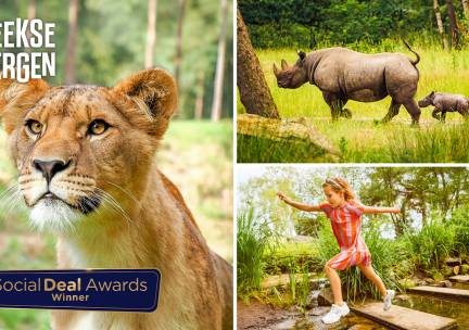 Entree Safaripark Beekse Bergen