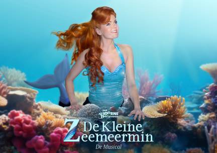 Entree De Kleine Zeemeermin De Musical