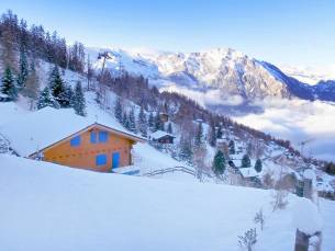 Chalet Alpina