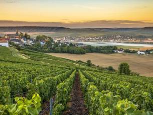 Verblijf in Reims incl. drankje en audiotour in een Champagnekelder