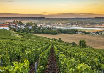 Verblijf in Reims incl. drankje en audiotour in een Champagnekelder
