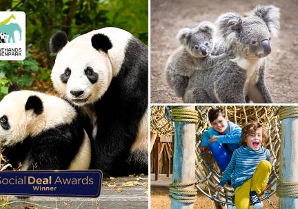 Entree voor Ouwehands Dierenpark Rhenen + koffie, thee, cappuccino of warme chocomel