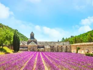 Busreis Uzès in de Provence
