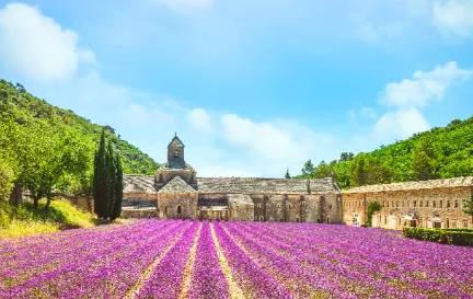 Busreis Uzès in de Provence