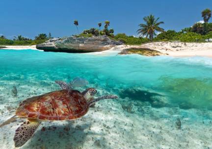 Islandhopping met een Caribisch tintje