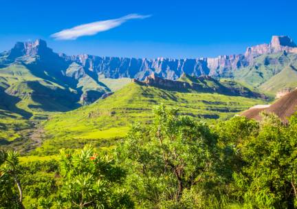 Leeuwen en Zuid-Afrikaanse Magie