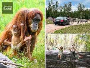 Entree Monde Sauvage Safaripark