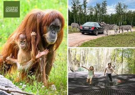 Entree Monde Sauvage Safaripark