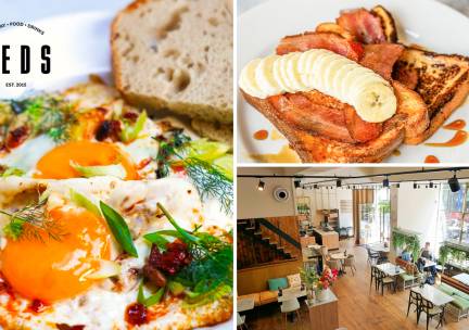 Brunch- of lunchgerecht naar keuze bij Teds in hartje Rotterdam
