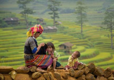Vietnam in 3 weken